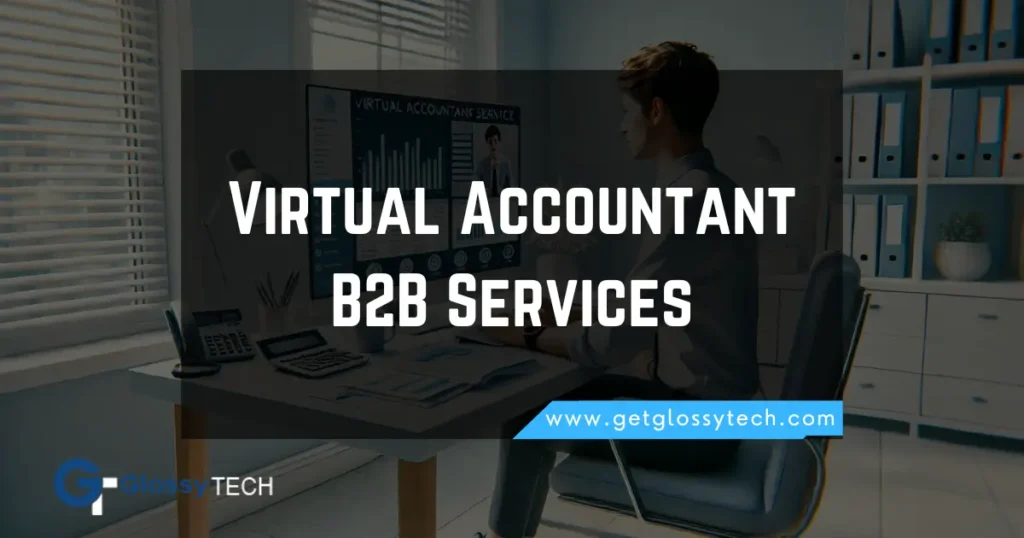 Virtual Accountant Business-to-Business Services