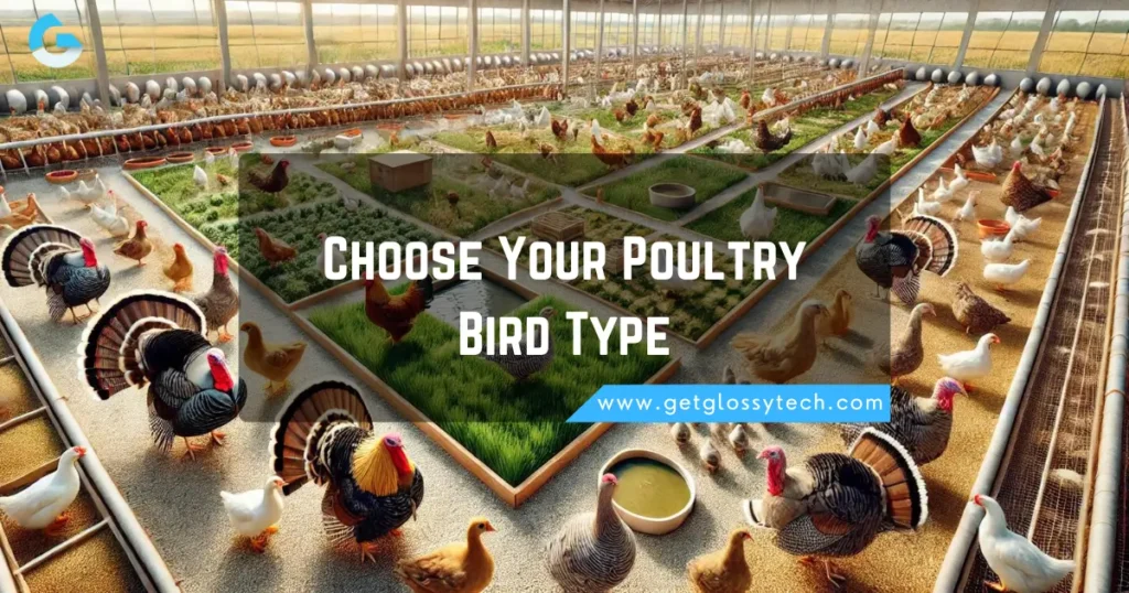 Choose Your Poultry Bird Type