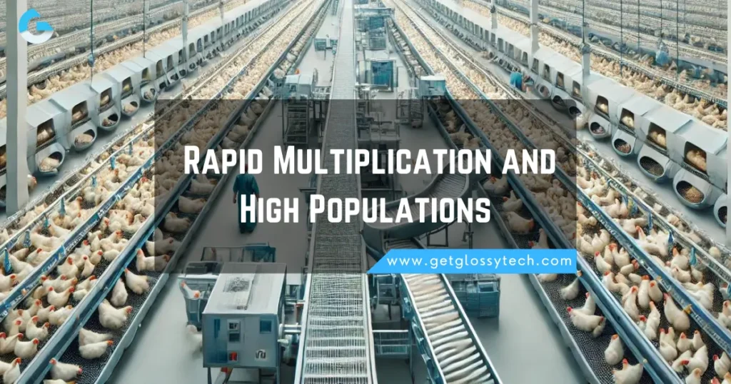 Rapid Multiplication and High Populations